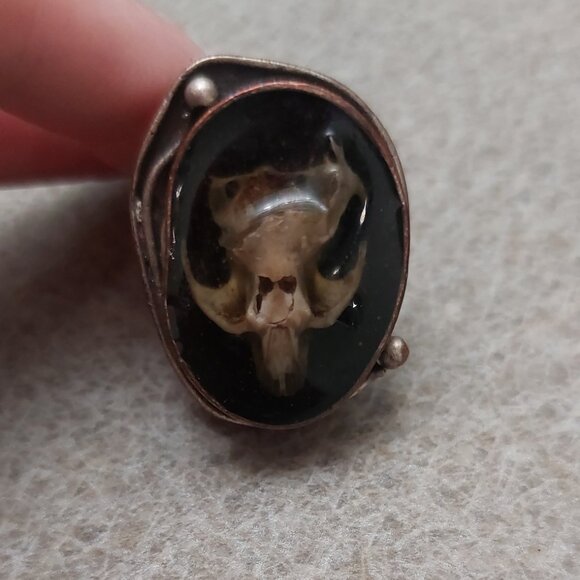 Handmade taxidermy ring - Picture 3 of 4